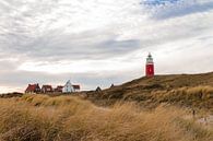 Lighthouse in the dunes of Texel. van Nicole van As thumbnail