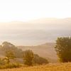 Toscane zonsopkomst van Stanislav Pokhodilo
