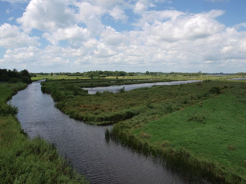 Wasser in den Weerribben-Wieden von Rinke Velds