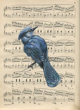 Bluejay van sarah Loecker