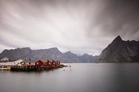 Lofoten dreaming