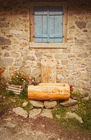 hiking boot in the Vosges