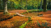 Herbst auf dem Landgut Braak von Henk Meijer Photography Miniaturansicht