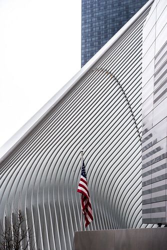 The Oculus