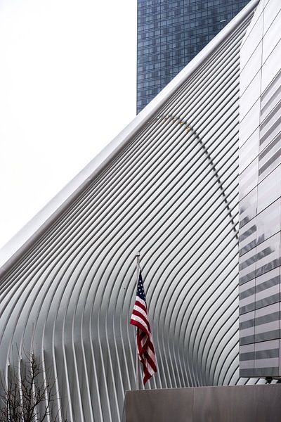 L'Oculus par Annelies Martinot