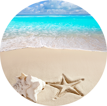 Tropisch strand met een reuzenschelp en afdruk van een zeester op het strand van Henny Hagenaars