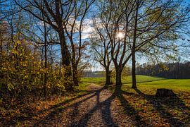 Prachtige herfst van Frank Kuschmierz
