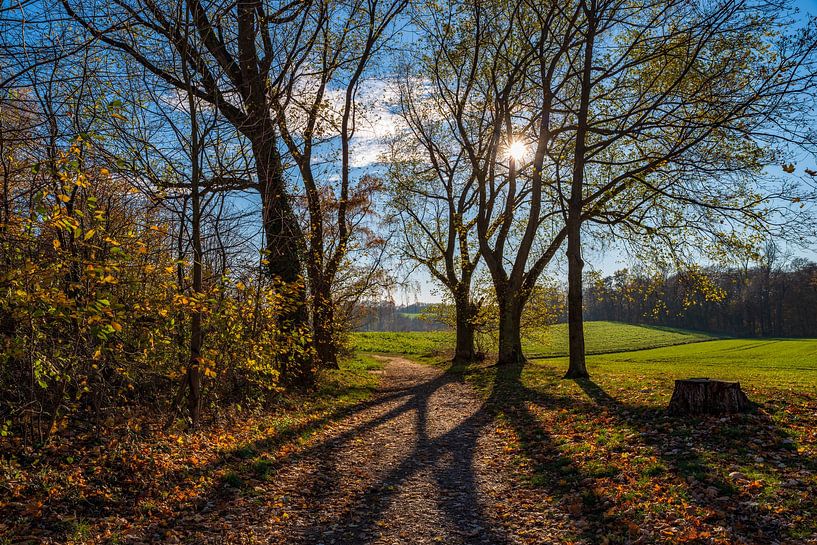 Wundervoller Herbst von Frank Kuschmierz