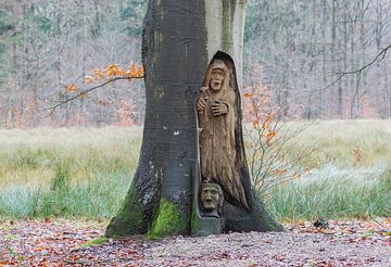 Spooky old carving in a tree van Micha Klootwijk