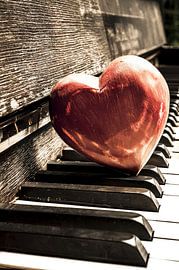 Muziek is liefde / liefde is muziek van Norbert Sülzner