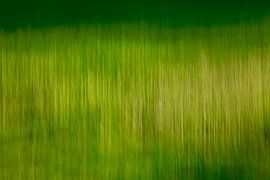 lenteavond van Thomas Jäger