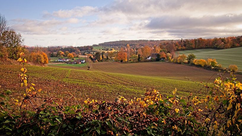 Wolfhaag / Raren in the hilly country side of Limburg by Rob Boon
