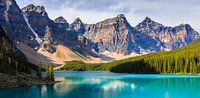 Moraine Lake in Banff National Park von Henk Meijer Photography Miniaturansicht