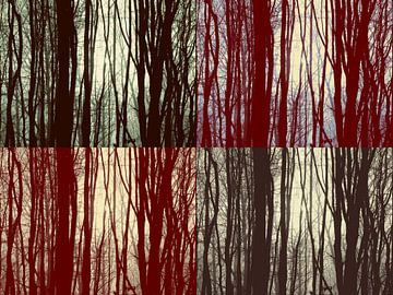 De Zon Door Het Dauw X 4