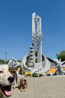 Peek-a-boo Chernobyl  / The dogs of Chernobyl