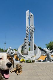 Peekaboo Tchernobyl / Les chiens de Tchernobyl sur UPHA F