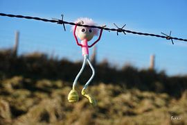 Fubby, une fille puissante, fait des exercices de fitness sur du fil barbelé.