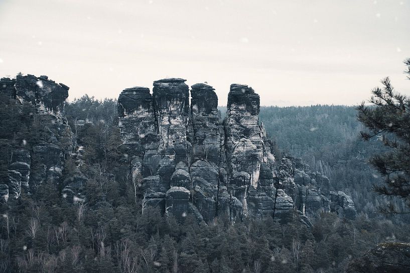 Felsen im Elbsandsteingebirge an der Bastei von Martin Köbsch