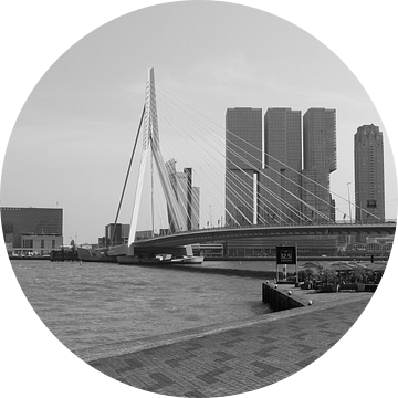 De Erasmusbrug