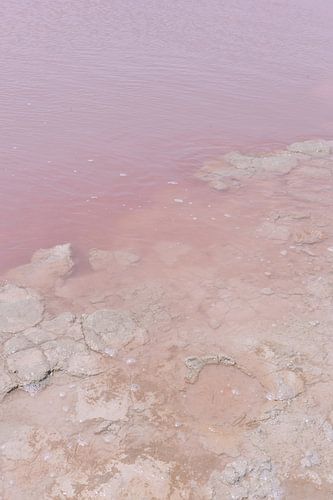Roze meer in Spanje ᝢ zoutmeer water reisfotografie Europe