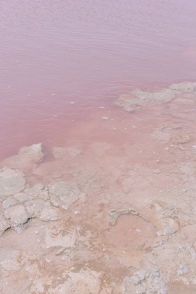 Roze meer in Spanje ᝢ zoutmeer water reisfotografie Europe van Hannelore Veelaert