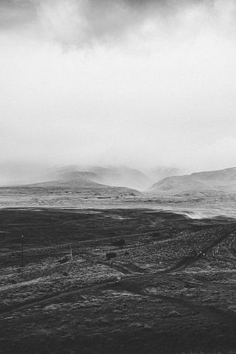 Lake Tekapo Nieuw-Zeeland