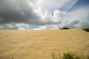 Des dunes de sable et d'herbe avec un beau ciel hollandais sur Marco Leeggangers