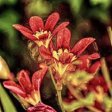 Digital Art Medium Bloemen Oud van Hendrik-Jan Kornelis