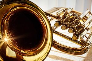Tuba