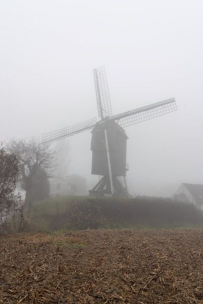 On a beautiful morning with an old mill (Hertboommolen) by Marcel Derweduwen