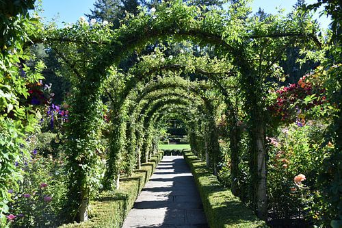 Un sentier du jardin Butchart Gardens
