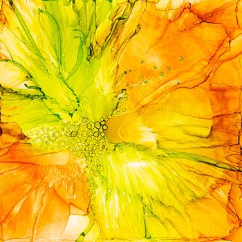 Aus dem Licht hervorgegangen