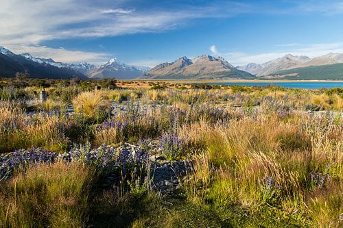 Mount Cook, Nieuw-Zeeland, Lake Pukaki