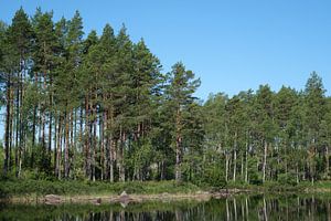 Schweden Gelassenheit 10