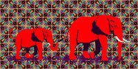 Afrikaanse olifant duo