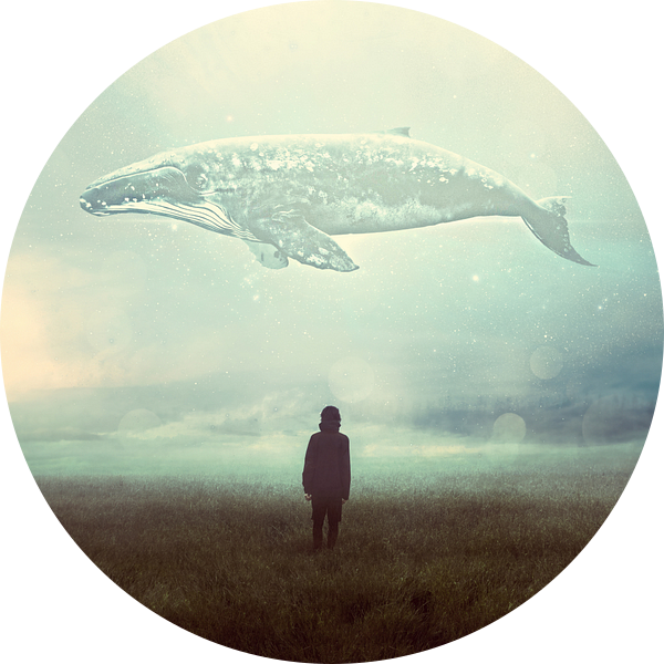 Of Things That Ever Happened van Marja van den Hurk