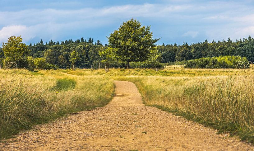 Der Weg zu schönen Landschaften von Robby's fotografie