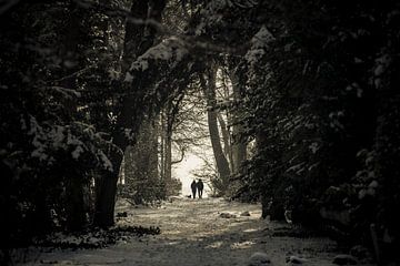 Sunday Stroll by Nanouk el Gamal - Wijchers (Photonook)