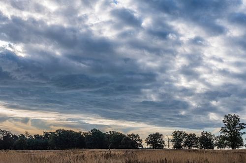 Deelerwoud en heide part 2