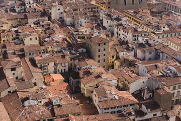 Dächer von Florenz von Shanti Hesse