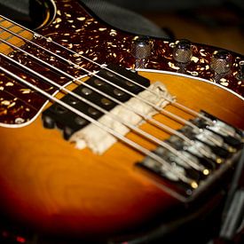 Elektrische gitaar van Michael Baron