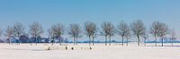 Winterpanorama in Groningen von Henk Meijer Photography Miniaturansicht