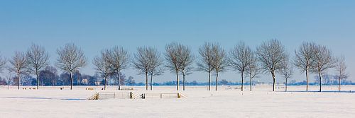 Winter panorama in Groningen