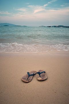 Slippers op het strand van Anton Hammenecker