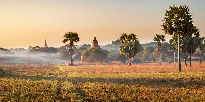 Bagan van Antwan Janssen