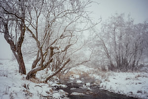 Winter am Eisgraben in der Rhön