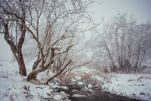Winter aan de ijsgracht in de Rhön