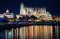 Palma de Mallorca - La Seu von Alexander Voss Miniaturansicht