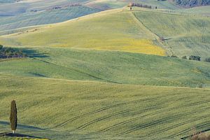 Paysage au lever du soleil autour de Pienza