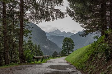 Promenade matinale sur une route de montagne déserte